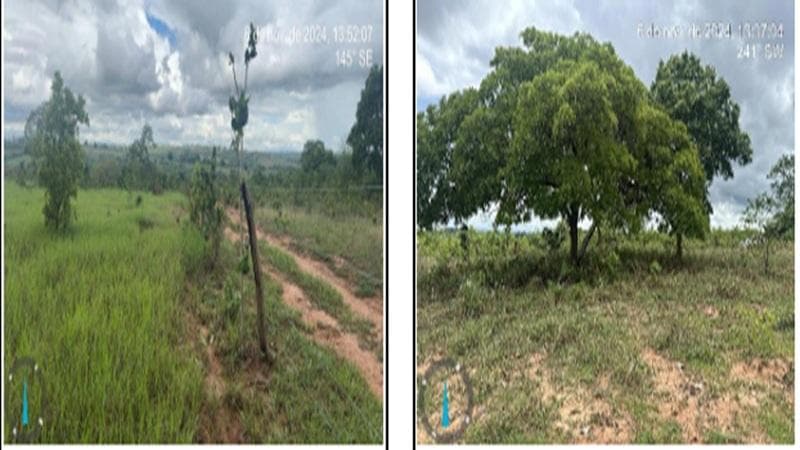 Foto 2 de 6: Terreno em leilão em Mineiros - GO, bairro Fazenda Salto Denominado Fazenda Campo Limpo-diamantino — IMÓVEL RURAL | A.T. 29,5692 HA | FAZENDA SALTO FAZENDA CAMPO LIMPO - DIAMANTINO | MINEIROS/GO