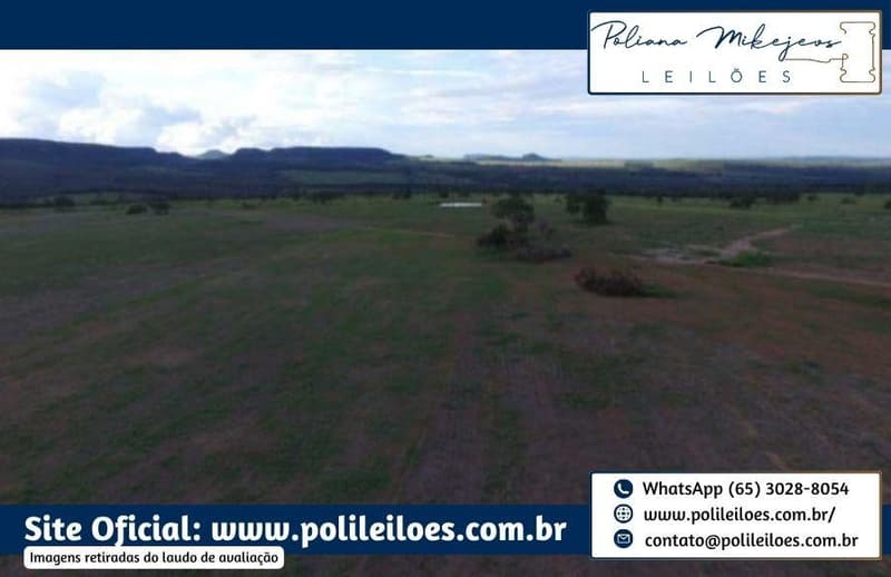 Foto 4 de 9: Area Rural em leilão em Rio Verde De Mato Grosso - MS — Gleba de terras, 146ha, 8.635m², remembramento dos lotes "Abora, "Abobora" e "São Domingos", em Rio Verde/MS