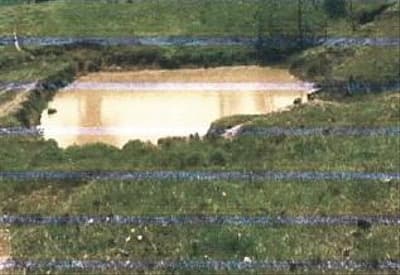 Area Rural em leilão em Acrelândia - AC — IMÓVEL RURAL | A.T 49,8541 HA | COLÔNIA SÃO JOSÉ EM ACRELÂNDIA/AC