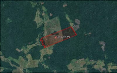 Foto 1 de 3: Terreno em leilão em Tarauacá - AC — IMÓVEL RURAL | A.T. 143,183 HA FAZ. 6 IRMÃOS (SERINGAL TOCANTINS II) | TARAUACÁ/AC