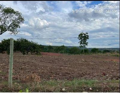 Foto 8 de 10: Area Rural em leilão em Monte Santo Do Tocantins - TO — IMÓVEL RURAL, FAZENDA FARTURA II, 140,9088HA, MONTE SANTO 1 EM MONTE SANTO DO TOCANTINS/TO - EXPLORAÇÃO DE PECUÁRIA