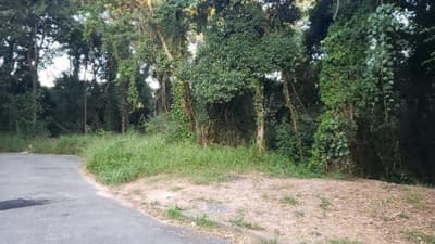 Foto 2 de 5: Terreno em leilão em Campo Limpo Paulista - SP — Terreno em Campo Limpo Paulista, Lote nº 06 da Quadra 04, área de 734,25m², Lot. Jardim Paulista I