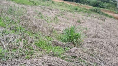 Foto 4 de 5: Terreno em leilão em Saudades - SC, bairro Saudades — LOTE URBANO Nº 08, DA QUADRA Nº 122, LOCALIZADO EM SAUDADES/SC ÁREA DE 360M²