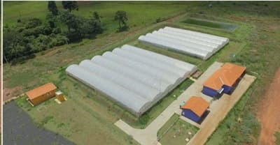 Area Rural em leilão em São Simão - SP — Sítio com ESTRUTURA 100% PRONTA para AQUICULTURA - com 5,5 Alqueires à 3km de São Simão e 40km de Ribeirão Preto/SP