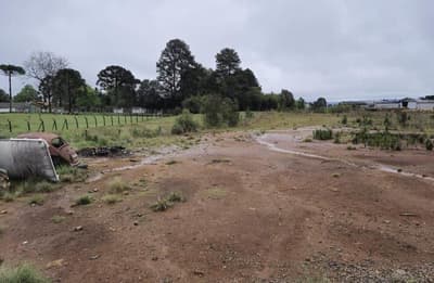 Foto 11 de 11: Terreno em leilão em Santa Cecília - SC — (Parte ideal) Terreno, A.T. 3.266,62m², diferencial, Bairro Rondinha