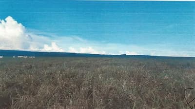 Foto 4 de 7: Area Rural em leilão em Vilhena - RO — IMÓVEL RURAL | 97,7589 HA - CORUMBIARA | VILHENA/RO