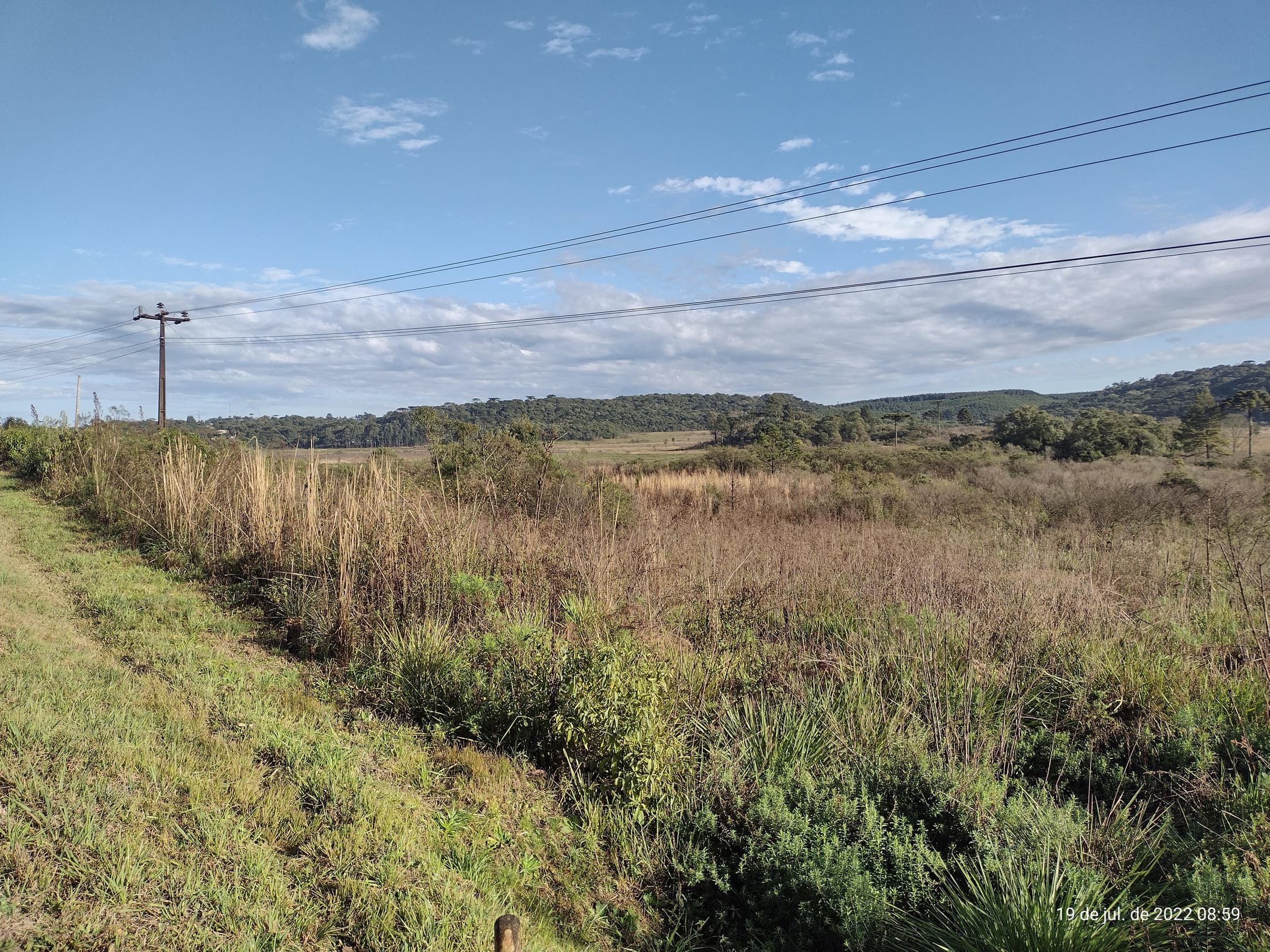 Foto 35 de 50: Terreno em leilão em Irati - PR — Terreno rural com área de 74.282,70m², Irati/PR