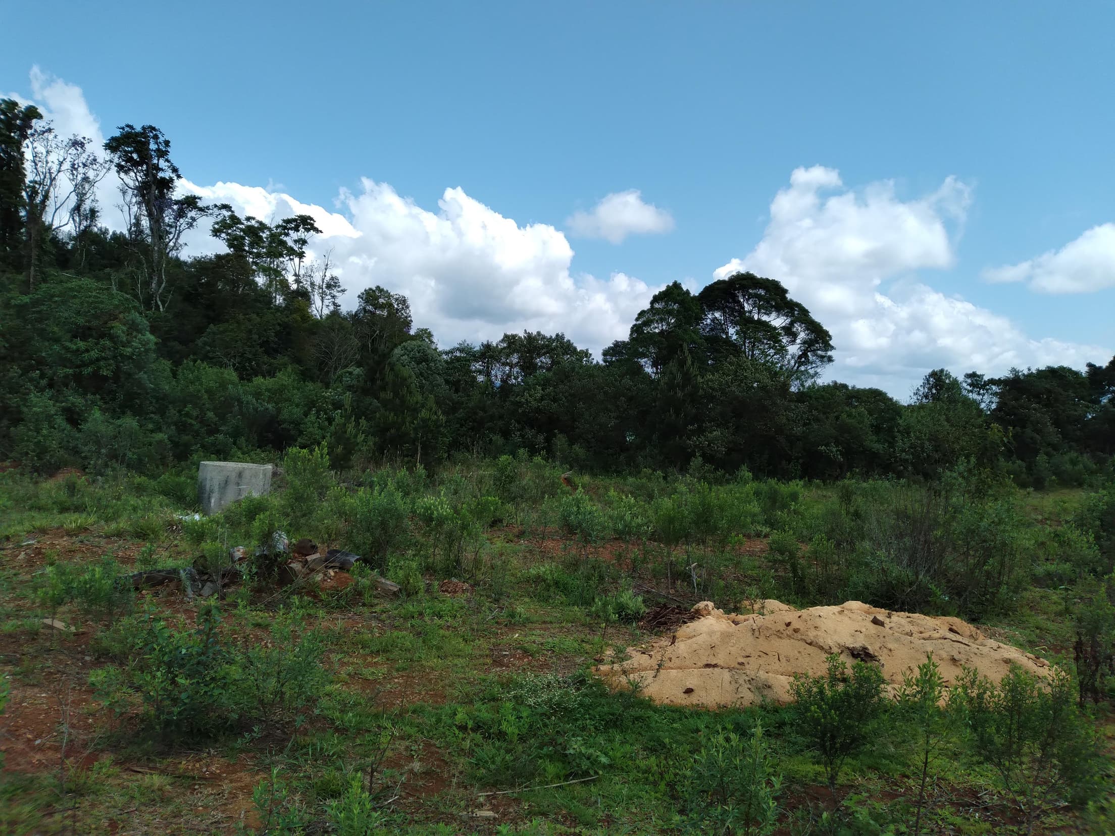 Foto 12 de 14: Terreno em leilão em Pinhão - PR — Terreno Rural 279.900m² Desocupado em Pinhão/PR