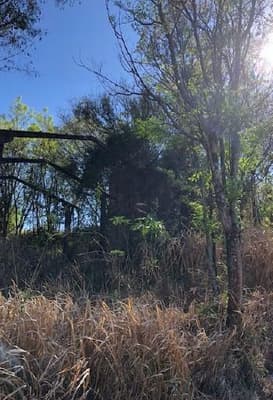 Foto 2 de 5: Terreno em leilão em Apucarana - PR — Terreno com área de 6.050m² - Apucarana/PR