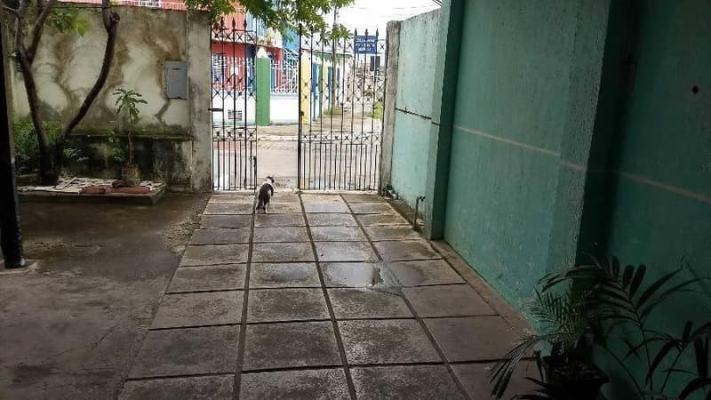 Foto 4 de 28: Casa em leilão em Maceió - AL, bairro Prado — Casa 129m² com Terreno 217m² | Maceió-AL | Prado | Financiamento até 420 Meses!