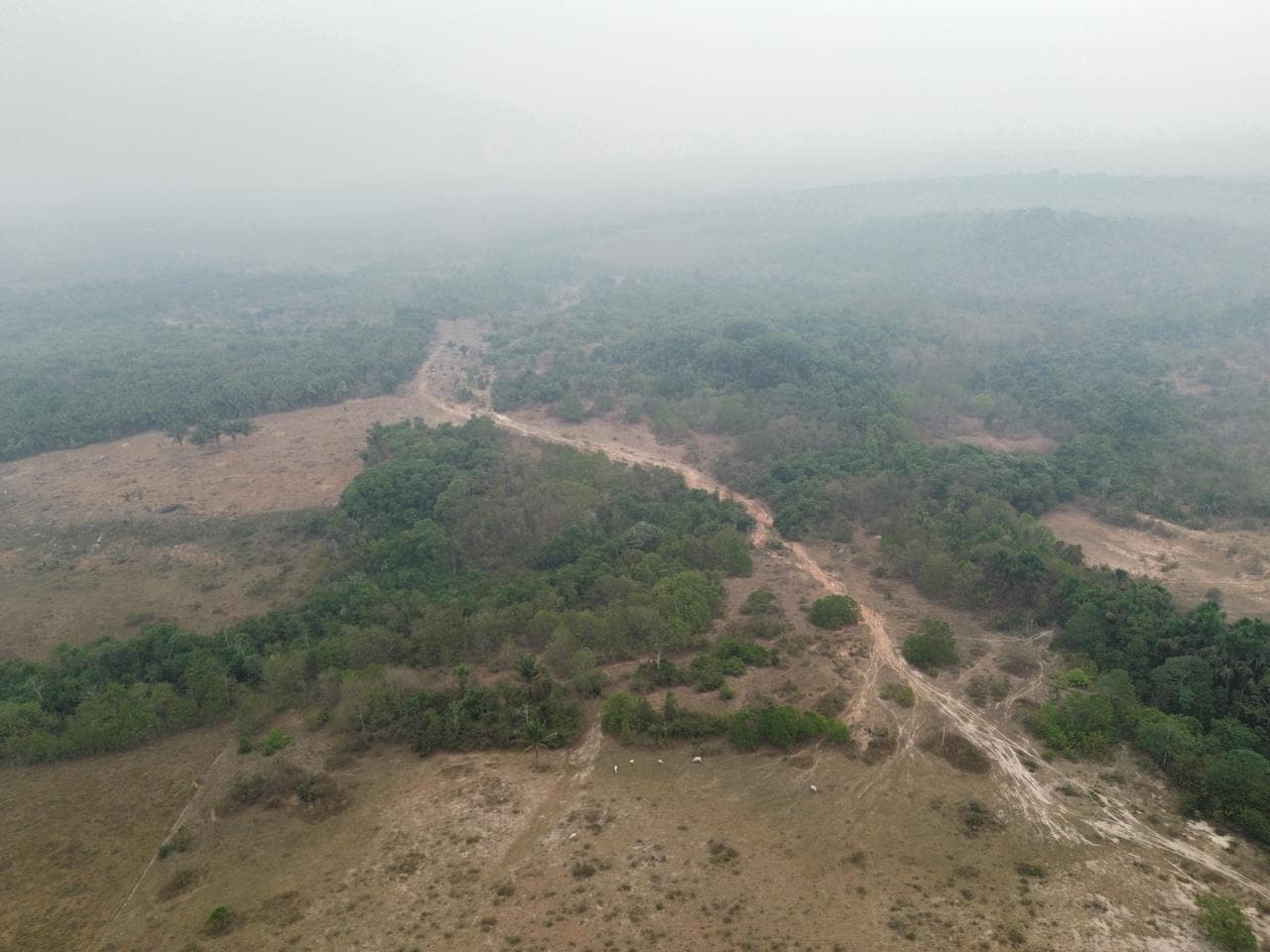 Foto 16 de 20: Area Rural em leilão em Pimenta Bueno - RO — IMÓVEL RURAL | A. T. 63,4635 HA | PIMENTA BUENO/RO - LEILÃO EMPRESARIAL SISTÊMICO SICREDI