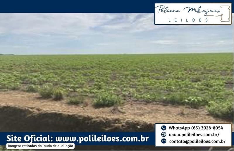 Foto 4 de 7: Area Rural em leilão em Sorriso - MT — Área Rural, Fração Ideal 157,7447ha, AT. 315,489ha, denominado Dal, Bosco Fazenda Rondinha II, Gleba Rio Verde/Lote Primavera, Sorriso/MT