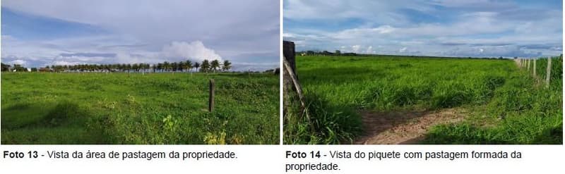 Foto 7 de 10: Area Rural em leilão em Luís Eduardo Magalhães - BA — IMÓVEL RURAL | 25,00 HA - CHÁCARA SÃO JOÃO | LUIS EDUARDO MAGALHÃES/BA