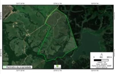 Area Rural em leilão em Cachoeira Do Sul - RS — Gleba Rural 313 ha, Capané , Cachoeira do Sul/RS