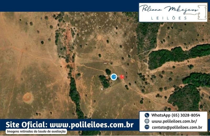 Foto 8 de 9: Area Rural em leilão em Rio Verde De Mato Grosso - MS — Gleba de terras, 146ha, 8.635m², remembramento dos lotes "Abora, "Abobora" e "São Domingos", em Rio Verde/MS