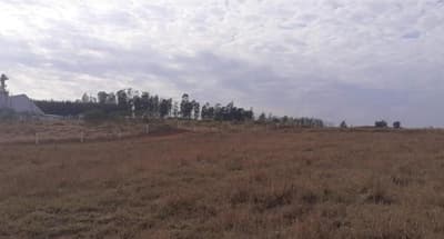 Foto 2 de 7: Area Rural em leilão em Nova Esperança - PR — IMÓVEL RURAL COM ÁREA TOTAL DE 30.548,00 m2 EM NOVA ESPERANÇA-PR