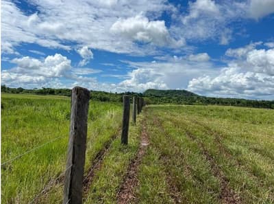 Foto 6 de 10: Area Rural em leilão em Alta Floresta D'oeste - RO — IMÓVEL RURAL | A.T. 49,79 HA | ALTA FLORESTA DOESTE/RO