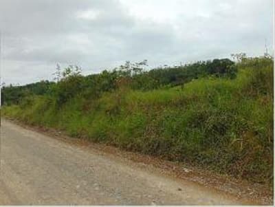 Foto 2 de 6: Terreno em leilão em Taió - SC — TERRENO RURAL com área total de 5.700 m²