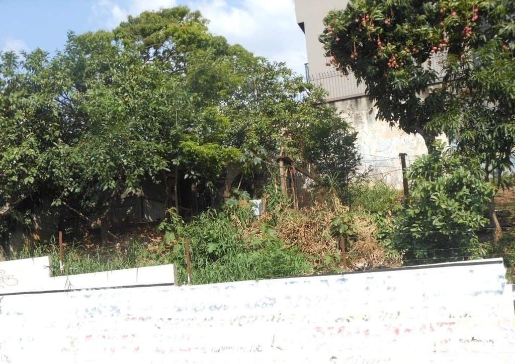 Foto 11 de 12: Terreno em leilão em Santo André - SP — Imóvel urbano, sem benfeitorias, A.T. 823m² - Parque Central