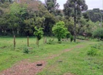 Foto 6 de 24: Area Rural em leilão em Correia Pinto - SC — IMÓVEL RURAL COM ÁREA TOTAL DE 122.223m² - CORREIA PINTO/SC