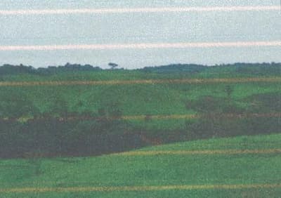 Foto 6 de 13: Area Rural em leilão em Alto Alegre Dos Parecis - RO — IMÓVEL RURAL | A.T 26,44 HA | ALTO ALEGRE DOS PARECIS, COMARCA DE SANTA LUZIA D'OESTE/RO