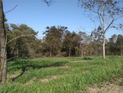 Foto 5 de 9: Area Rural em leilão em Nova Esperança - PR — IMÓVEL RURAL COM ÁREA TOTAL DE 30.548,00 m2 EM NOVA ESPERANÇA-PR