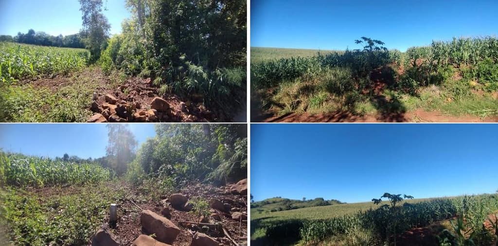 Foto 1 de 12: Area Rural em leilão em Pérola D'oeste - PR — Parte Ideal (5%) Lote Rural com A.T. 84.000m², Município de Pérola DOeste/PR