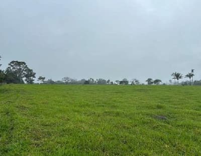 Foto 7 de 7: Area Rural em leilão em Nova Monte Verde - MT — IMÓVEL RURAL | A.T. 52,2136HA - SÍTIO SÃO ROQUE | NOVA MONTE VERDE/MT