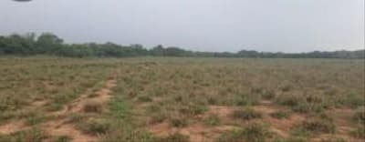 Foto 11 de 28: Area Rural em leilão em Sorriso - MT — IMÓVEL RURAL | 61,6997HA FAZ. SANTA MARIA PARCELA B | EM SORRISO/MT - DESTINAÇÃO PECUÁRIA