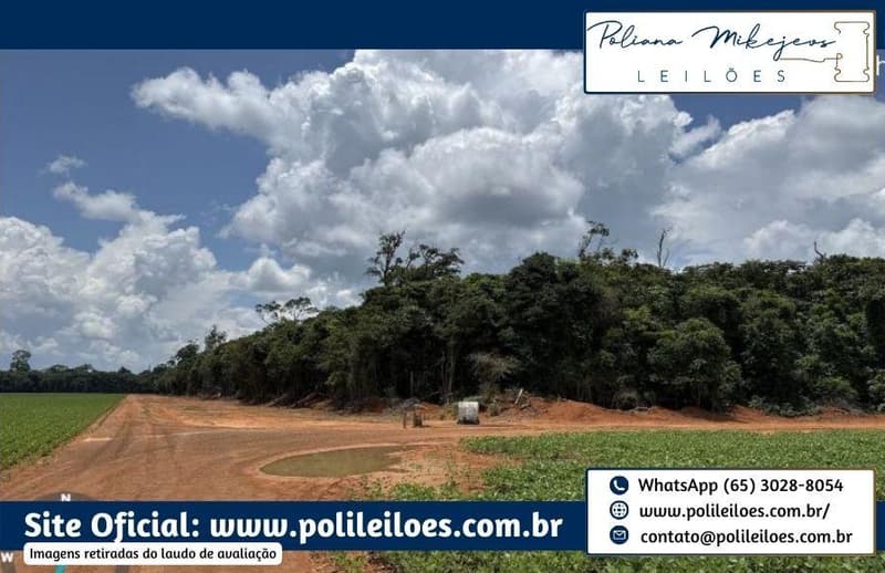 Foto 3 de 6: Area Rural em leilão em Vera - MT — Área Rural, 500ha, Fazenda Bom Retiro II, Gleba Atlântica com a Gleba Capen, no Município de Vera/MT