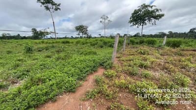 Foto 4 de 11: Area Rural em leilão em São Miguel Do Guaporé - RO — IMÓVEL RURAL - SÍTIO DOIS IRMÃOS DE 12,0919HA - SÃO MIGUEL DO GUAPORÉ/RO