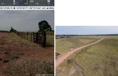 Foto 6 de 7: Area Rural em leilão em Pontes E Lacerda - MT — Imóvel Rural, 290,400 hectares