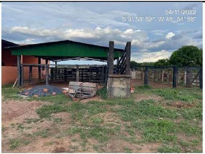 Foto 9 de 10: Area Rural em leilão em Monte Santo Do Tocantins - TO — IMÓVEL RURAL, FAZENDA FARTURA II, 140,9088HA, MONTE SANTO 1 EM MONTE SANTO DO TOCANTINS/TO - EXPLORAÇÃO DE PECUÁRIA