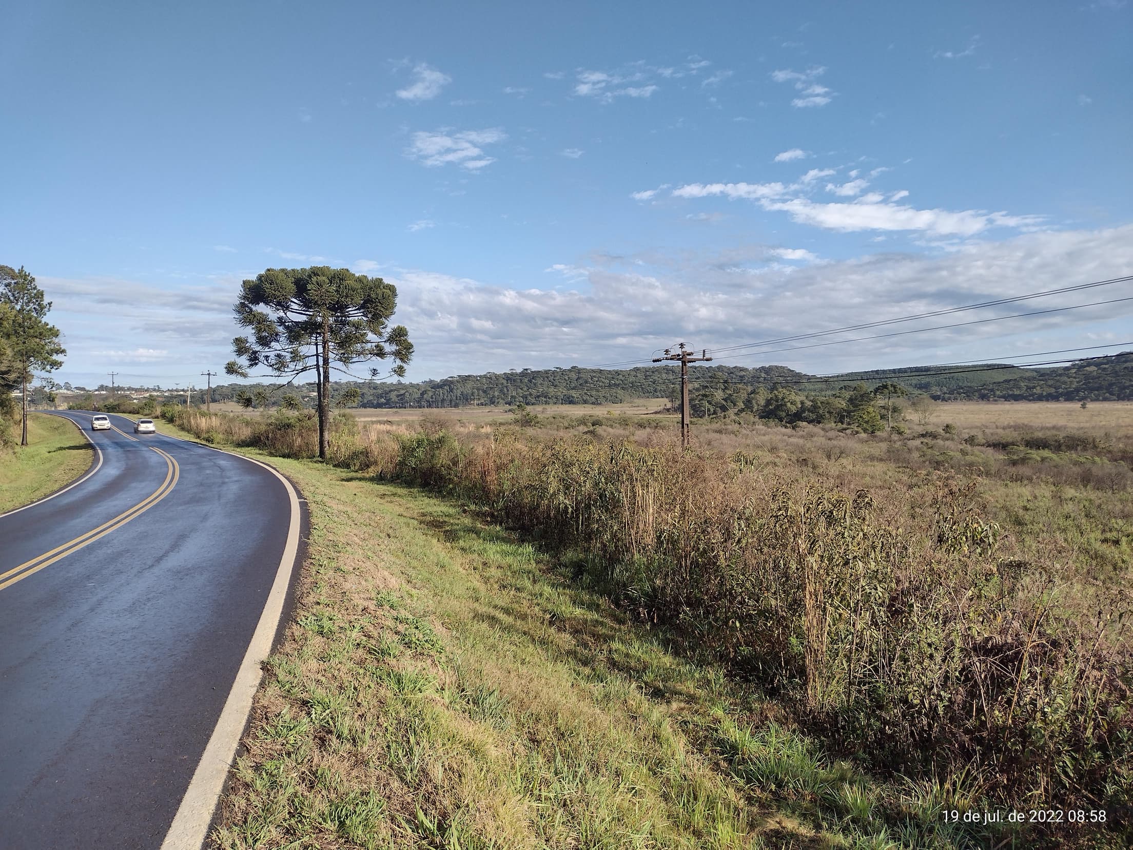 Foto 29 de 50: Terreno em leilão em Irati - PR — Terreno rural com área de 74.282,70m², Irati/PR