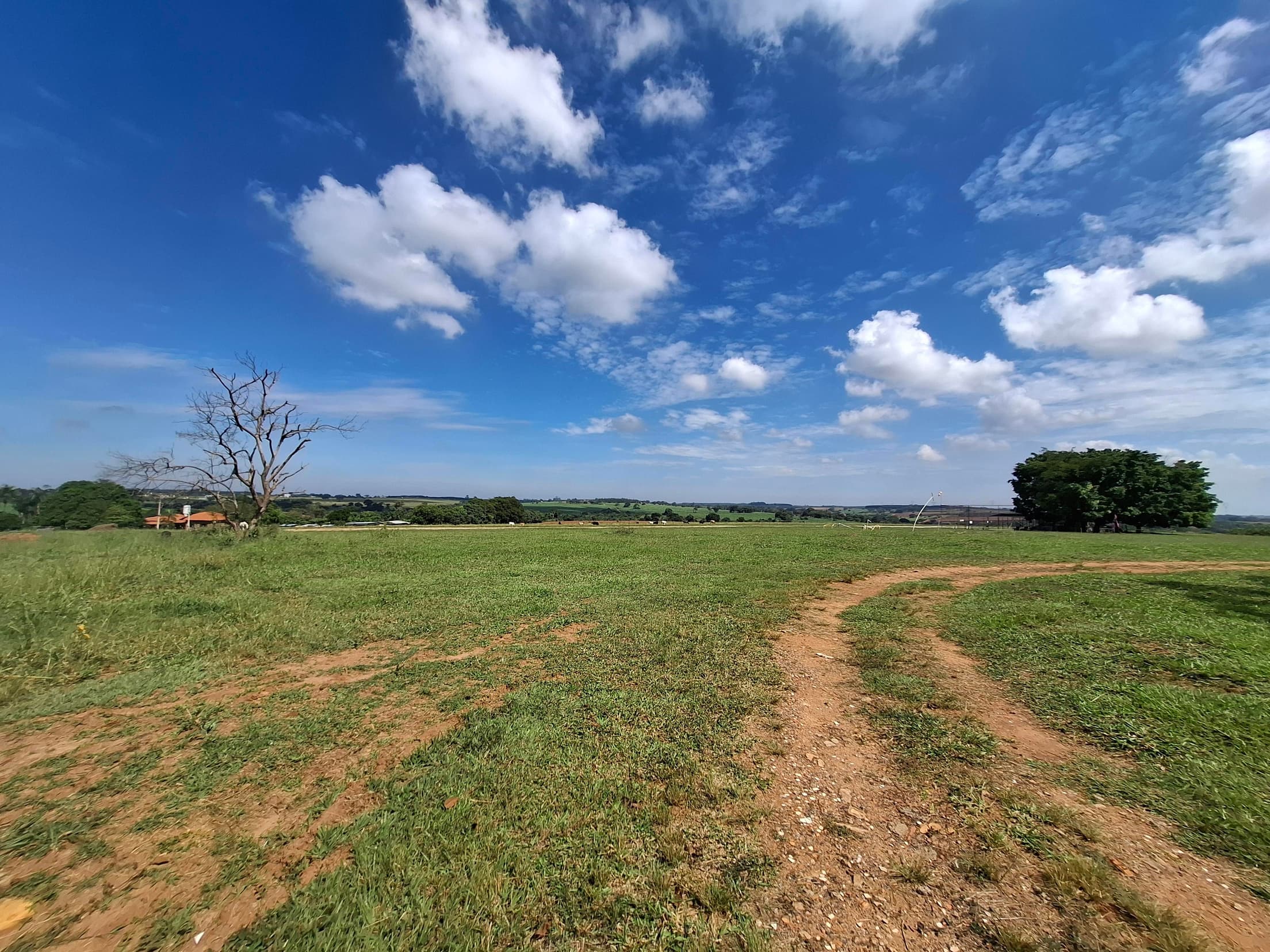 Area Rural em leilão em Mirassol - SP — ÁREA DE TERRAS DE 48.400m² NA FAZENDA SÃO CARLOS, MIRASSOL/SP | MATRICULA 19.636