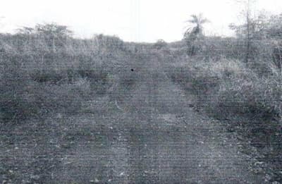 Area Rural em leilão em Monte Santo Do Tocantins - TO — Fazenda, A.T. 1007,1553 ha