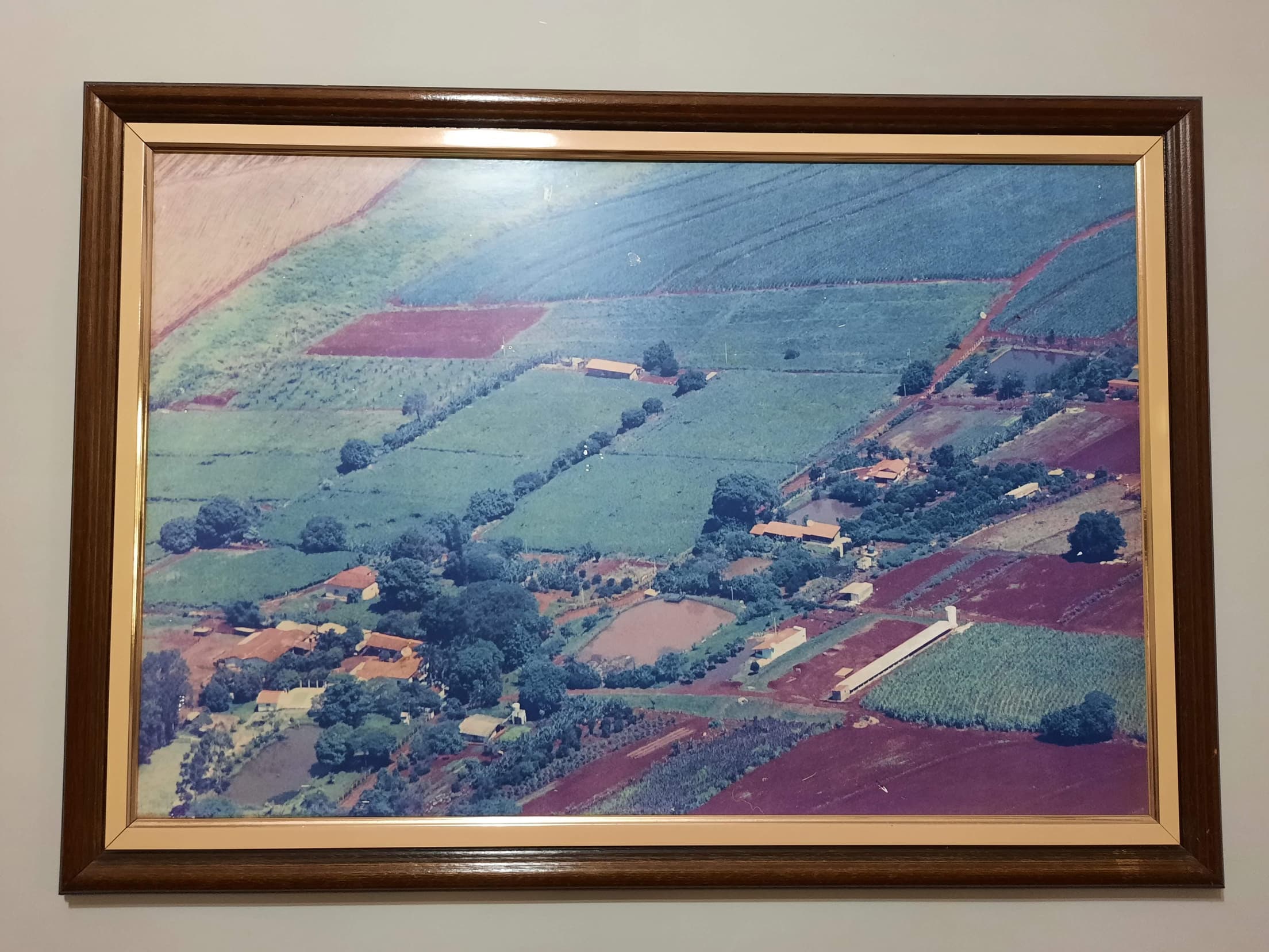 Foto 160 de 169: Area Rural em leilão em Cravinhos - SP — Gleba, 2ha, Sítio São Sebastião, Cravinhos/SP