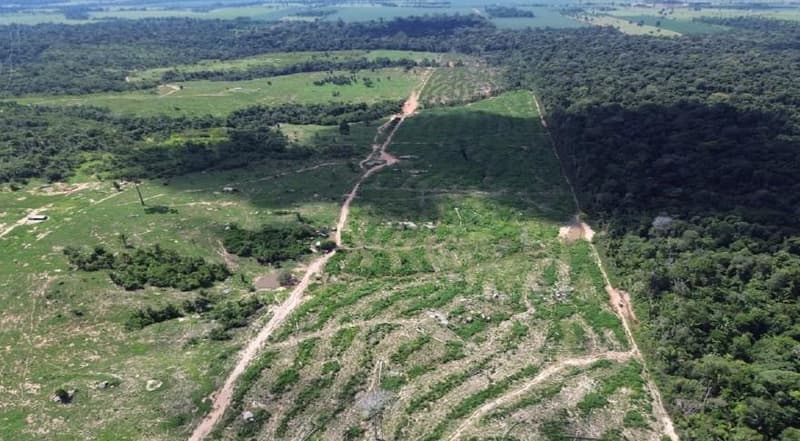Foto 2 de 8: Area Rural em leilão em Ariquemes - RO — IMÓVEL RURAL, 48,1028ha - POSSUI 2 COCHEIRAS E 5 KM DE CERCA - POTENCIAL DE PECUÁRIA DE CORTE OU AGRICULTURA EM ALTO PARAÍSO/RO