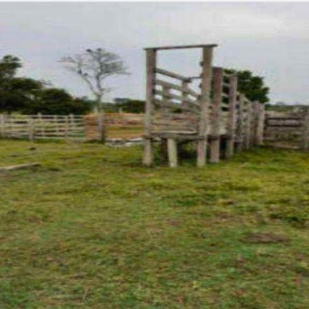 Foto 3 de 6: Area Rural em leilão em Oriximiná - PA — IMÓVEL RURAL COM ÁREA DE 256,9199 ha - Em ORIXIMINÁ/PA
