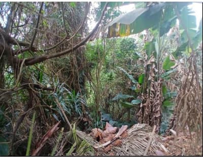 Foto 2 de 5: Terreno em leilão em Cotia - SP — Lote, Ocupado, 2543.4 m2, COTIA / SP