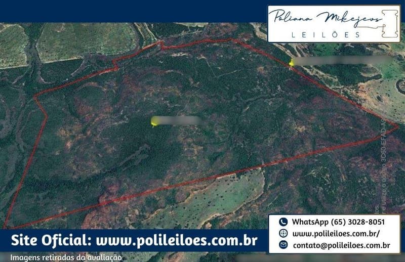 Area Rural em leilão em Alto Araguaia - MT — Área rural, AT 370,646ha, Alto Araguaia/MT