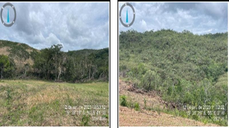 Foto 6 de 10: Area Rural em leilão em Itapuranga - GO — IMÓVEL RURAL | A.T. 67,0907 HA | FAZENDA CANASTRINHA | ITAPURANGA/GO