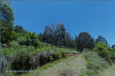 Foto 11 de 16: Area Rural em leilão em Pinhão - PR — Imóvel rural, 242.766,02 m², denominado Torres, Município e Comarca de Pinhão-PR