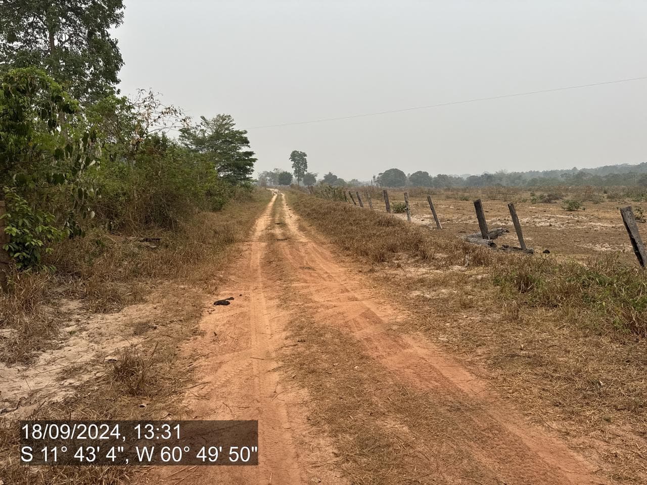 Foto 4 de 20: Area Rural em leilão em Pimenta Bueno - RO — IMÓVEL RURAL | A. T. 63,4635 HA | PIMENTA BUENO/RO - LEILÃO EMPRESARIAL SISTÊMICO SICREDI