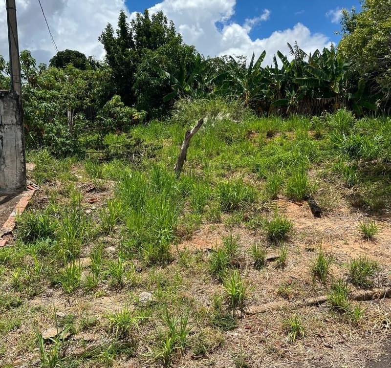 Terreno em leilão em Umuarama - PR, bairro Parque Tarumã — Terreno urbano com área de 312,00m², sem benfeitorias, situado em Umuarama/PR.