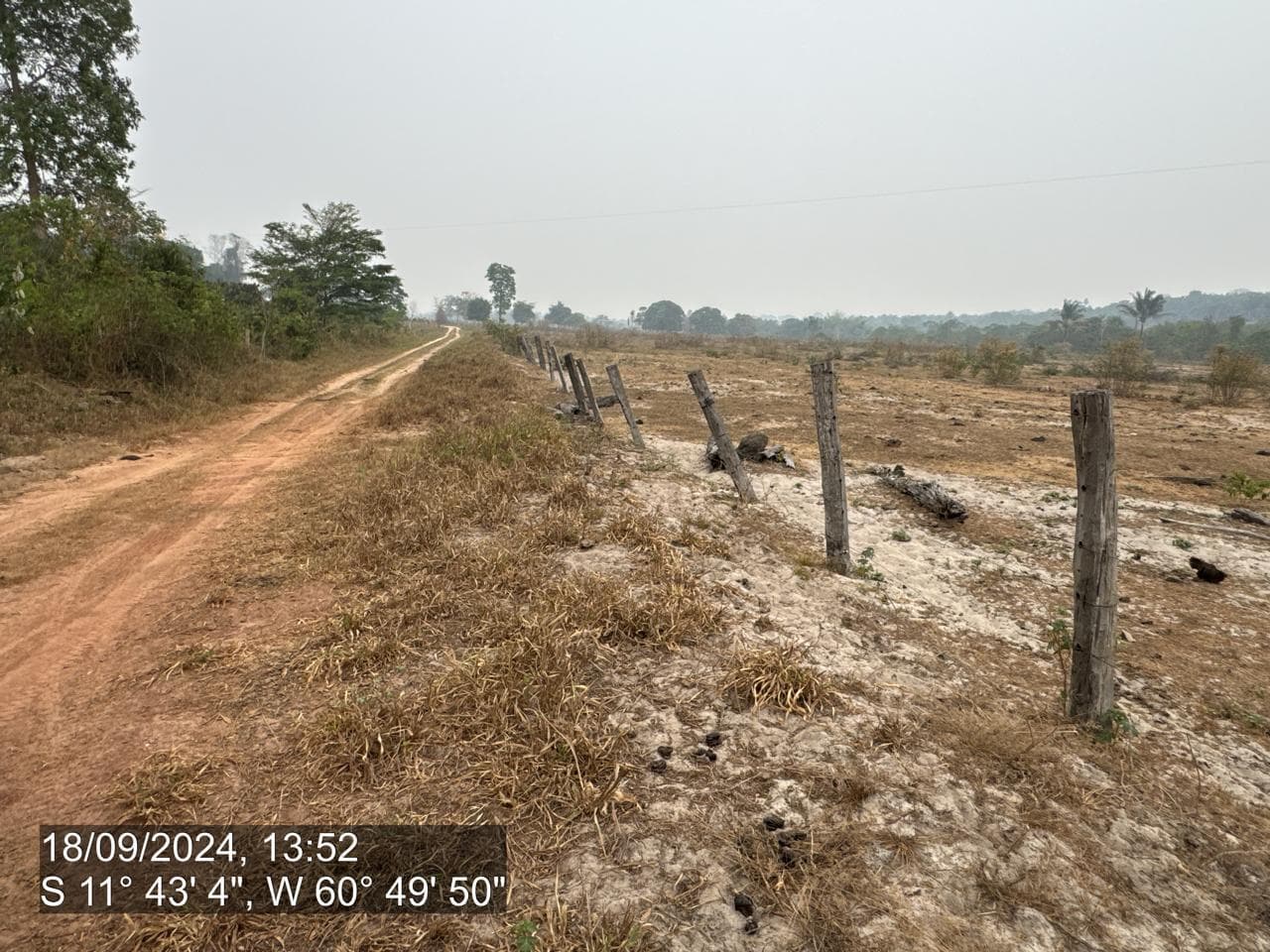 Foto 14 de 20: Area Rural em leilão em Pimenta Bueno - RO — IMÓVEL RURAL | A. T. 63,4635 HA | PIMENTA BUENO/RO - LEILÃO EMPRESARIAL SISTÊMICO SICREDI