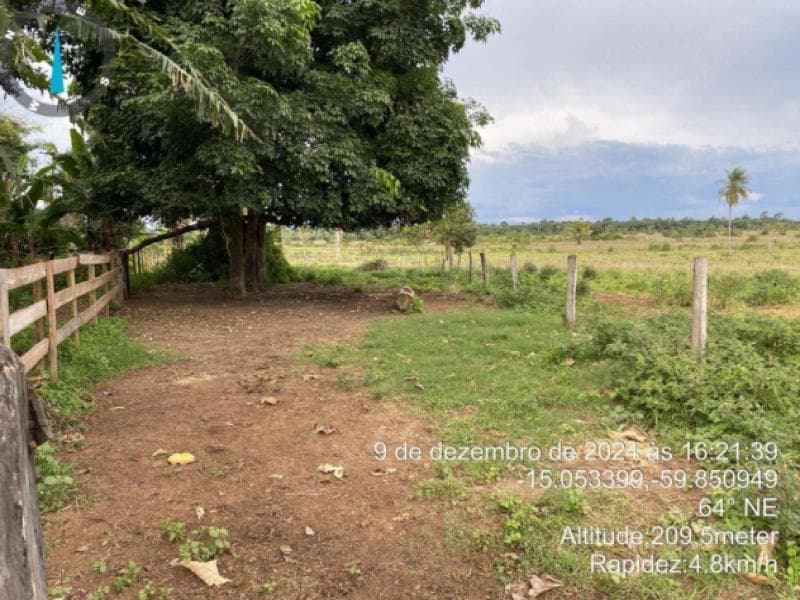 Foto 8 de 10: Area Rural em leilão em Vila Bela Da Santíssima Trindade - MT — Chacara_Sitio, 23.58 ha, Vila Bela da Santíssima Trindade / MT