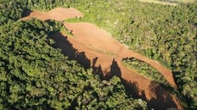 Foto 3 de 13: Area Rural em leilão em Nova Esperança Do Sudoeste - PR — LOTE RURAL EM SALTO DO LONTRA-PR