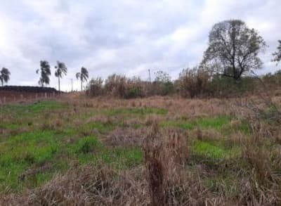 Foto 5 de 5: Terreno em leilão em Trindade Do Sul - RS — TERRENO URBANO COM AREA DE 3.735,66 M2 - TRINDADE DO SUL/RS