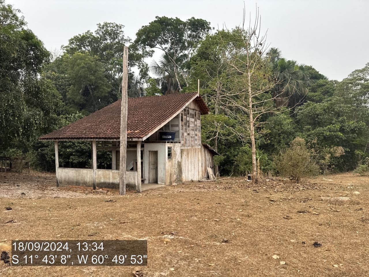 Foto 2 de 20: Area Rural em leilão em Pimenta Bueno - RO — IMÓVEL RURAL | A. T. 63,4635 HA | PIMENTA BUENO/RO - LEILÃO EMPRESARIAL SISTÊMICO SICREDI